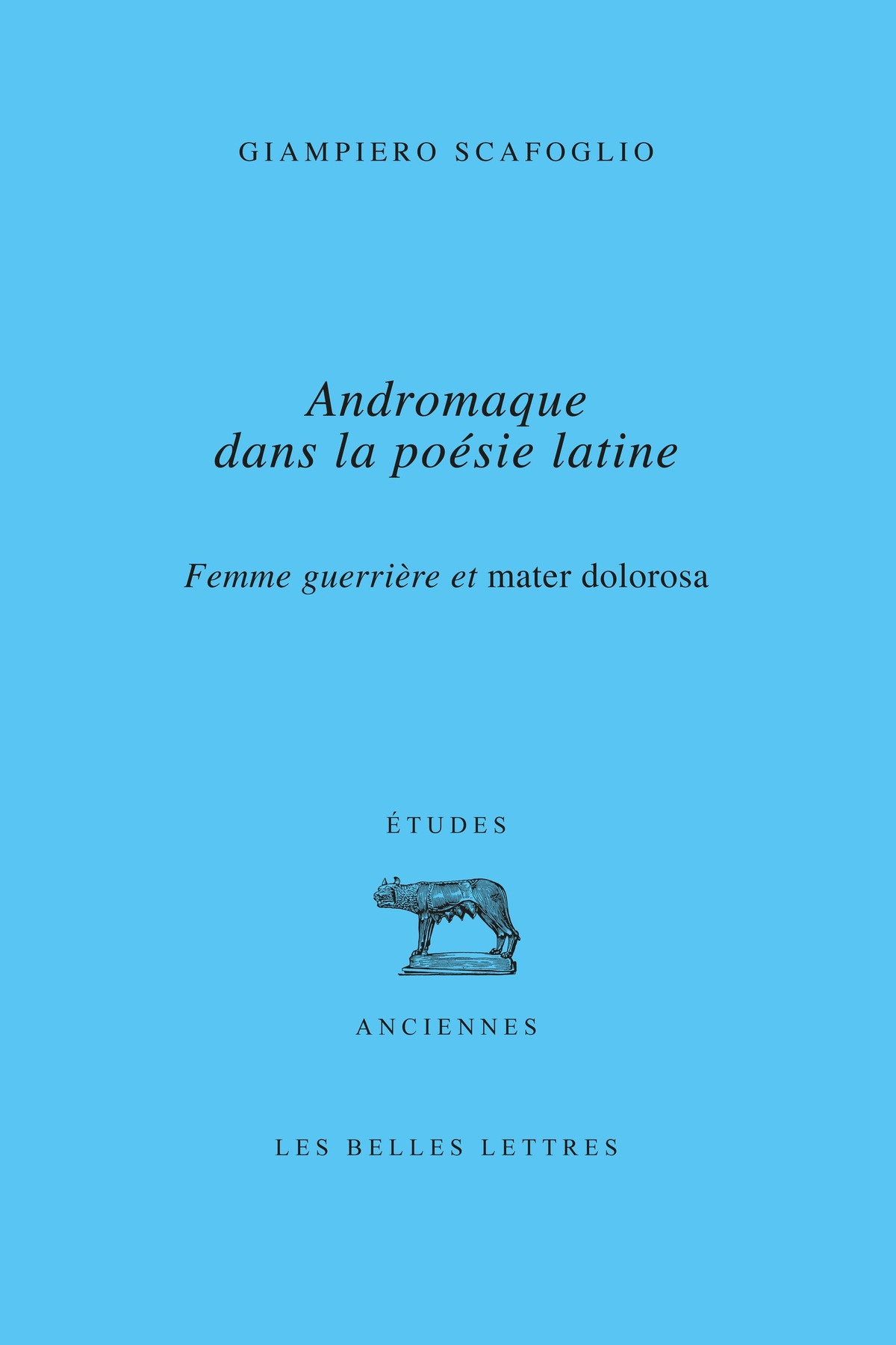 Andromaque dans la poésie latine