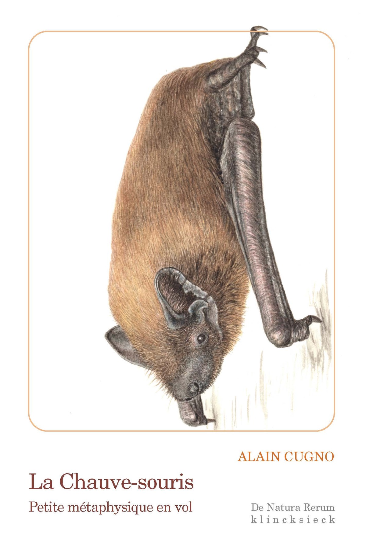La Chauve-souris