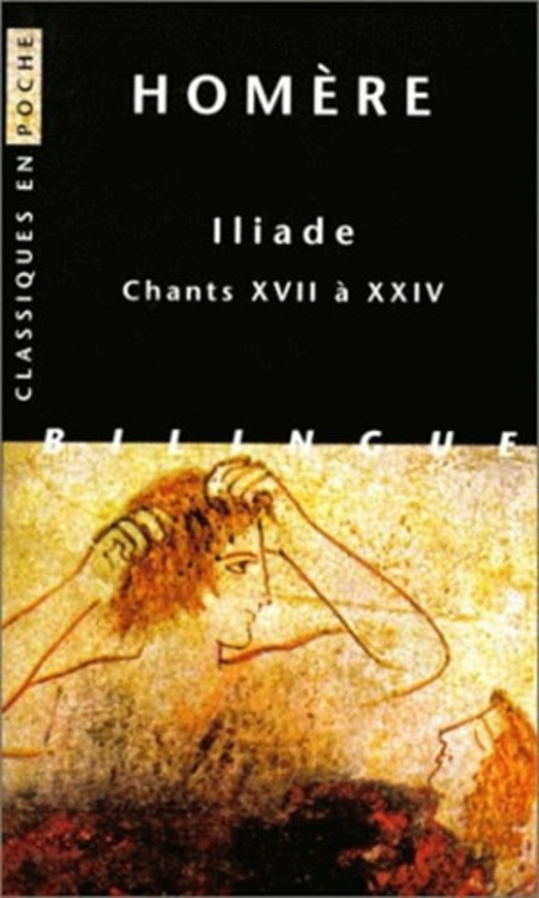 Iliade. Chants XVII à XXIV